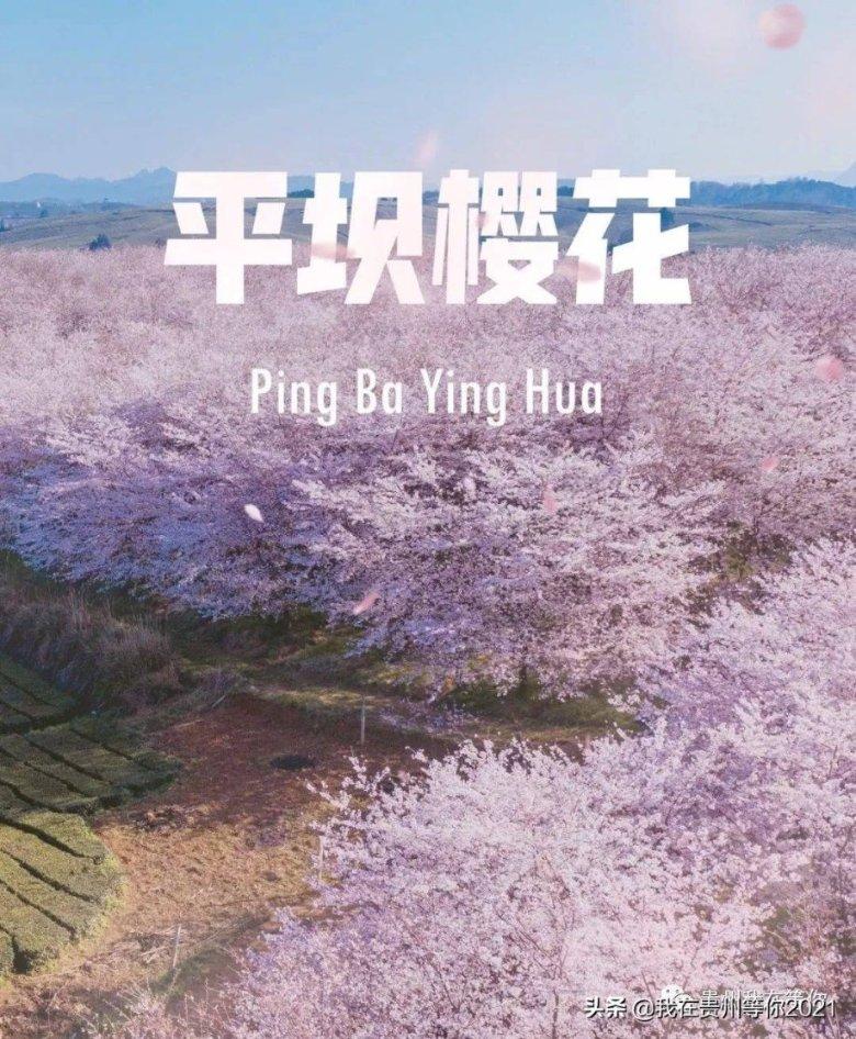 公主的成人礼